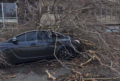 Aumentan a 17 los muertos por las tormentas en California