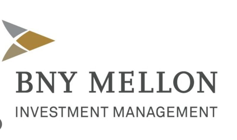 BNY Mellon IM lanza un fondo de impacto de renta fija emergente gestionado por Insight Investment