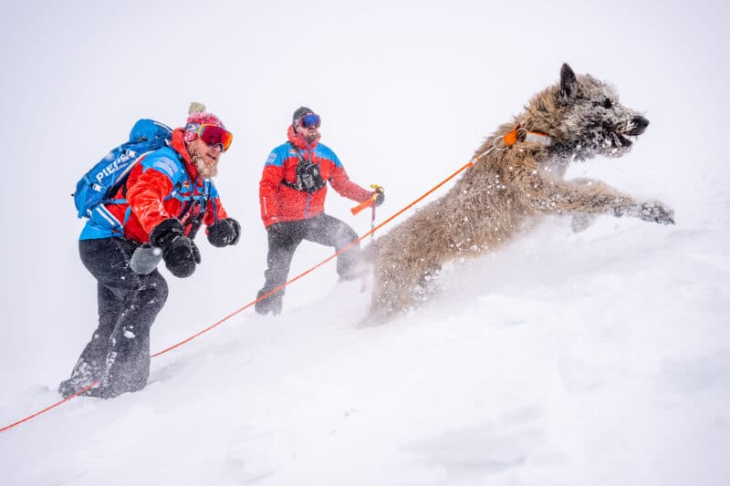 Curso de avalanchas y perros en República Checa