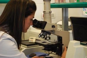 El 84% de proyectos de investigación en España los dirigen hombres frente al 16% que lideran mujeres, según un estudio