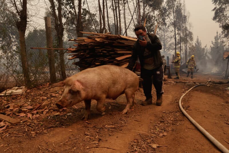 Incendios en Chile