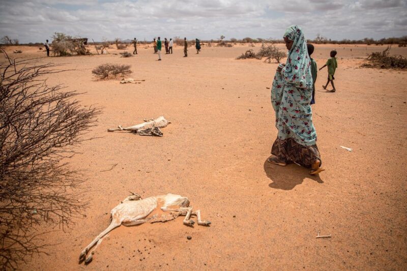 La sequía y el conflicto armado ponen a 7,6 millones de somalíes al borde de la hambruna