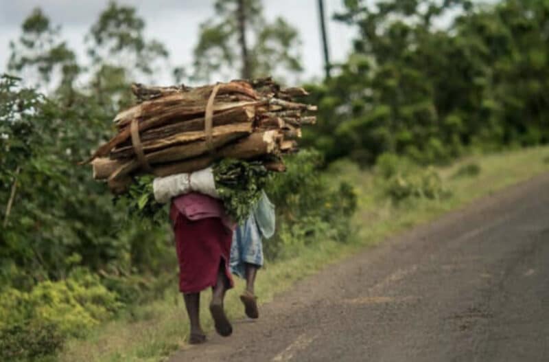 MSF registra un récord de admisiones por desnutrición grave en un campo de refugiados en el este de Kenia