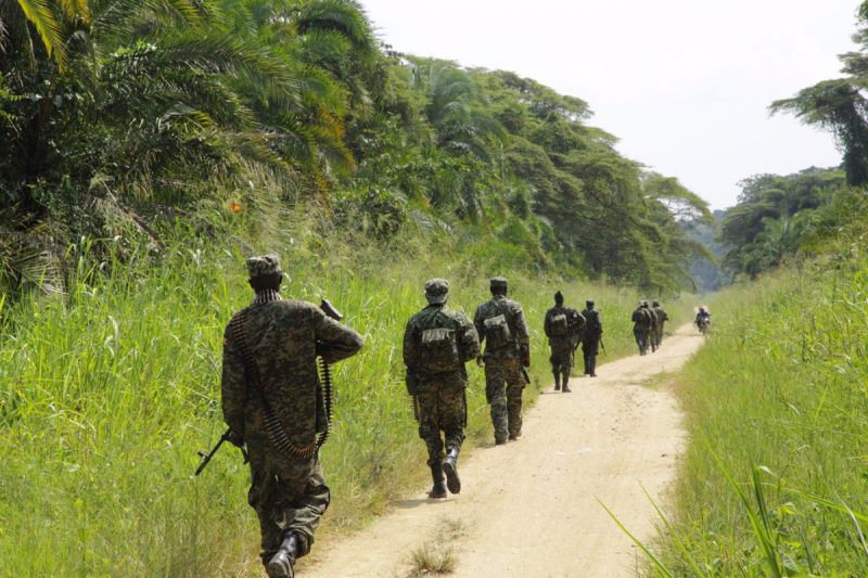 Rescatadas 15 personas secuestradas por las ADF durante una operación del Ejército en el este de RDC