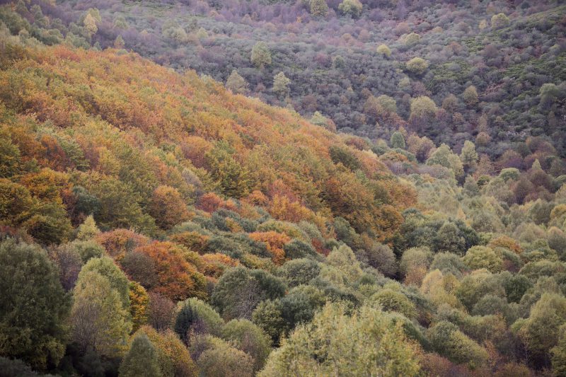 Europa registró en 2022 su mes de octubre más cálido desde que hay constancia, casi 2ºC por encima de lo normal