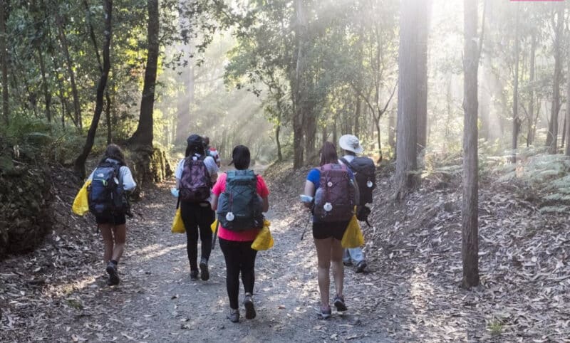 Los peregrinos del Camino de Santiago reciclaron 276 toneladas de residuos este verano, un 49% más que en 2021