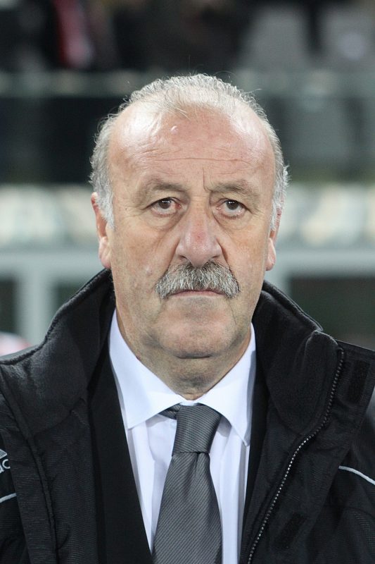 Vicente del Bosque: "Hay que tener esperanza y confianza en que España puede hacer un buen Mundial"